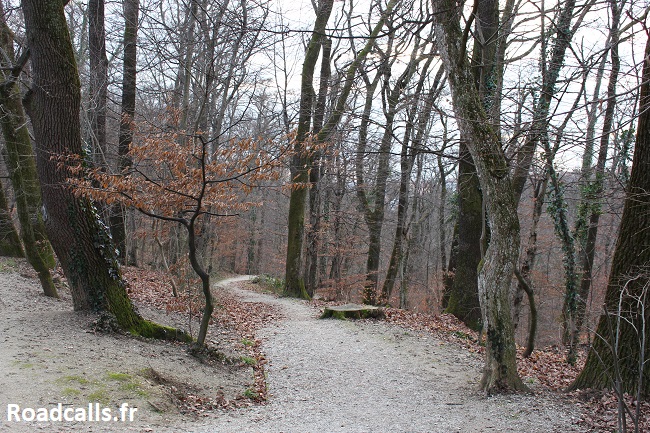 Sentier escarpé dans le parc de Tuskanac de Zagreb, dans la grisaille hivernale