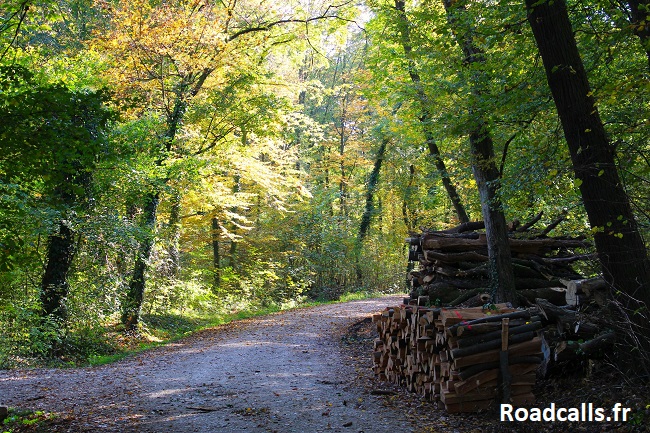 Sentier de promenade sous les grands arbres du parc Maksimir de Zagreb.